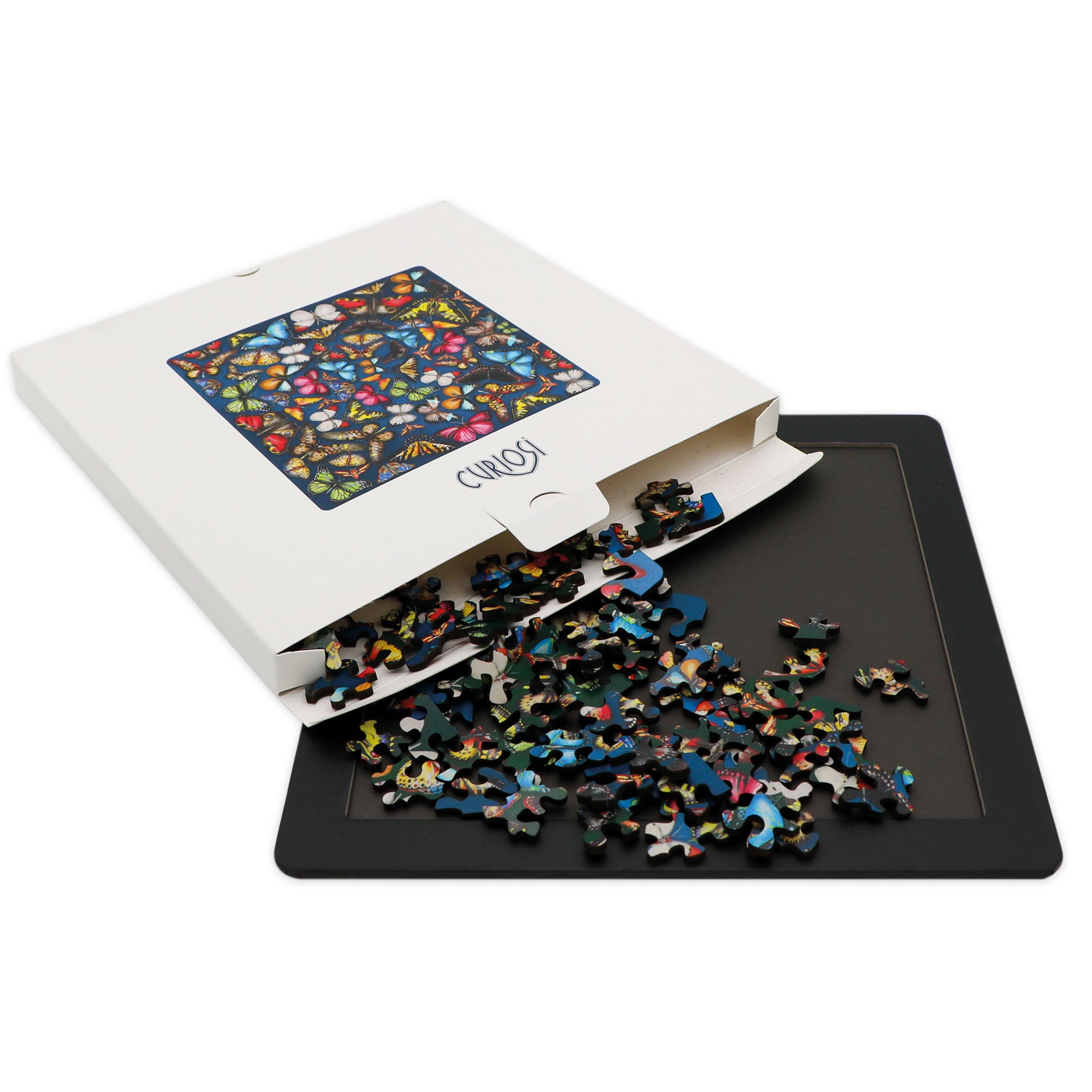 Double puzzle « Mille-pattes »