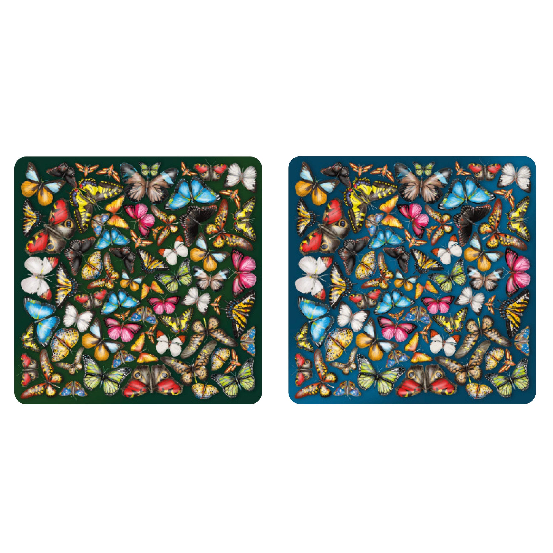 Double puzzle « Mille-pattes »