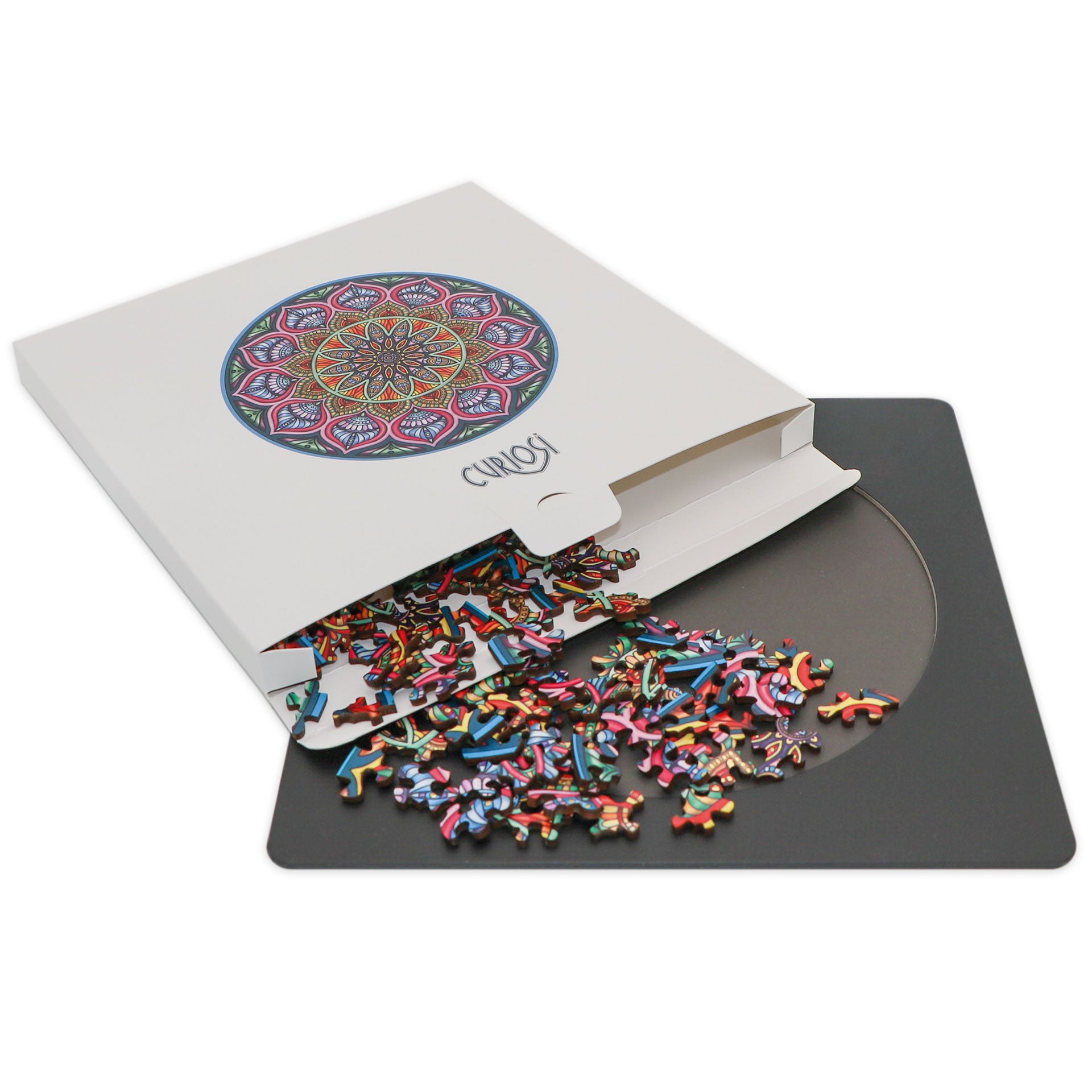 Double puzzle « Mille-pattes »