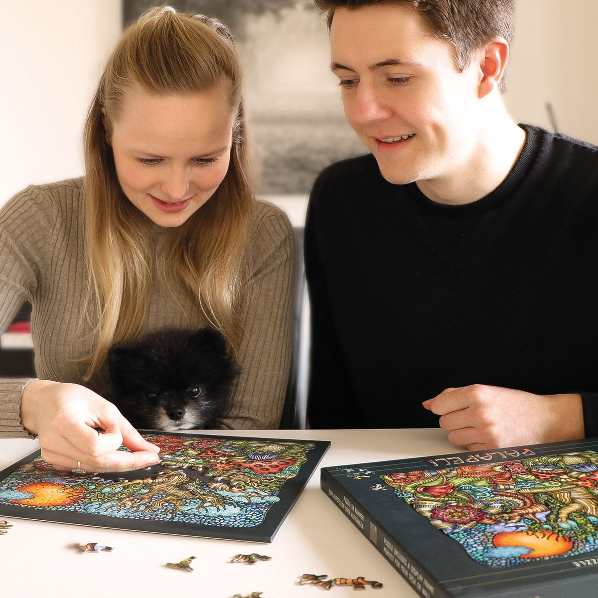 Puzzles Curiosi