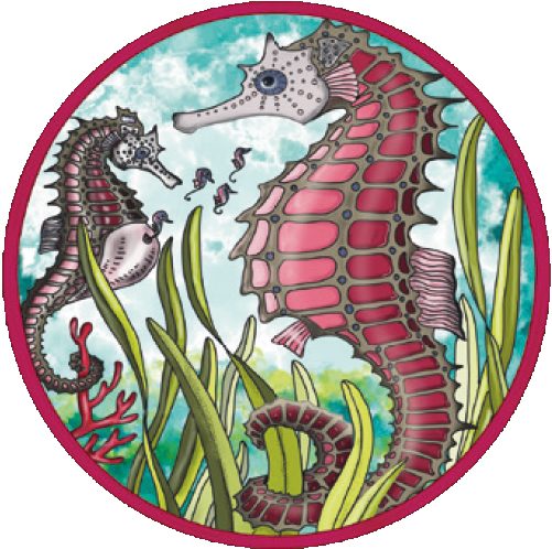 Puzzle Picoli "Seepferdchen"